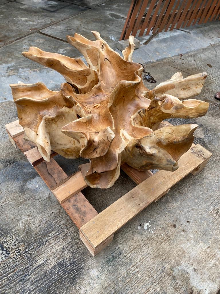 Solid teak root coffee table - Indonesian teak root coffee table - Teak root slab coffee table - Live edge teak root coffee table glass top