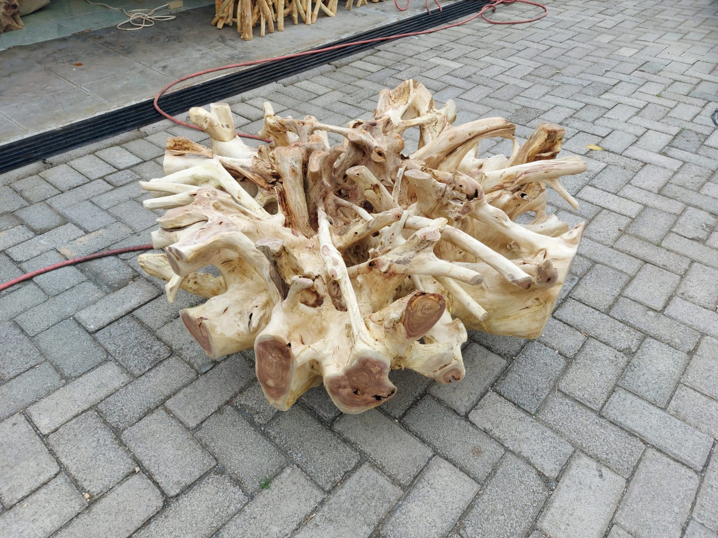 ALL WHITE EDITION Teak Root Coffee Table - Coffee Table Glass Top - Modern Rustic Teak Root Table - SOGEH Furniture