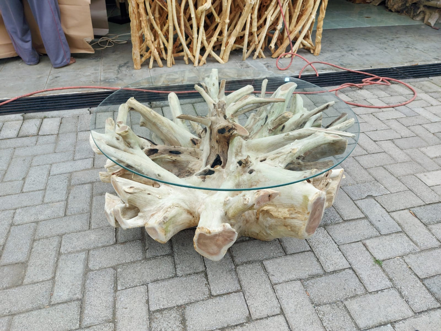 ALL WHITE EDITION Teak Root Coffee Table - Coffee Table Glass Top - Modern Rustic Teak Root Table - SOGEH Furniture