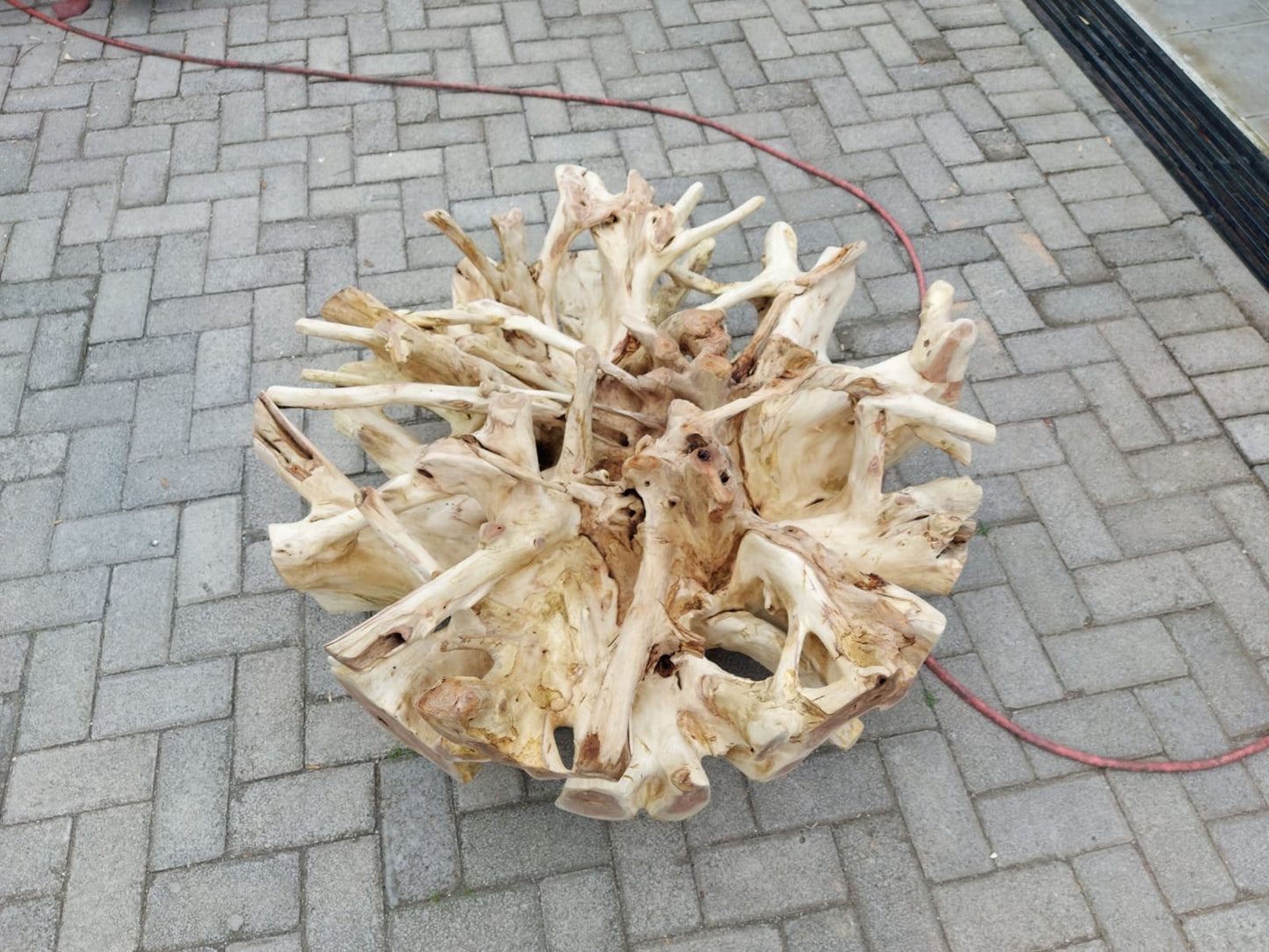 ALL WHITE EDITION Teak Root Coffee Table - Coffee Table Glass Top - Modern Rustic Teak Root Table - SOGEH Furniture