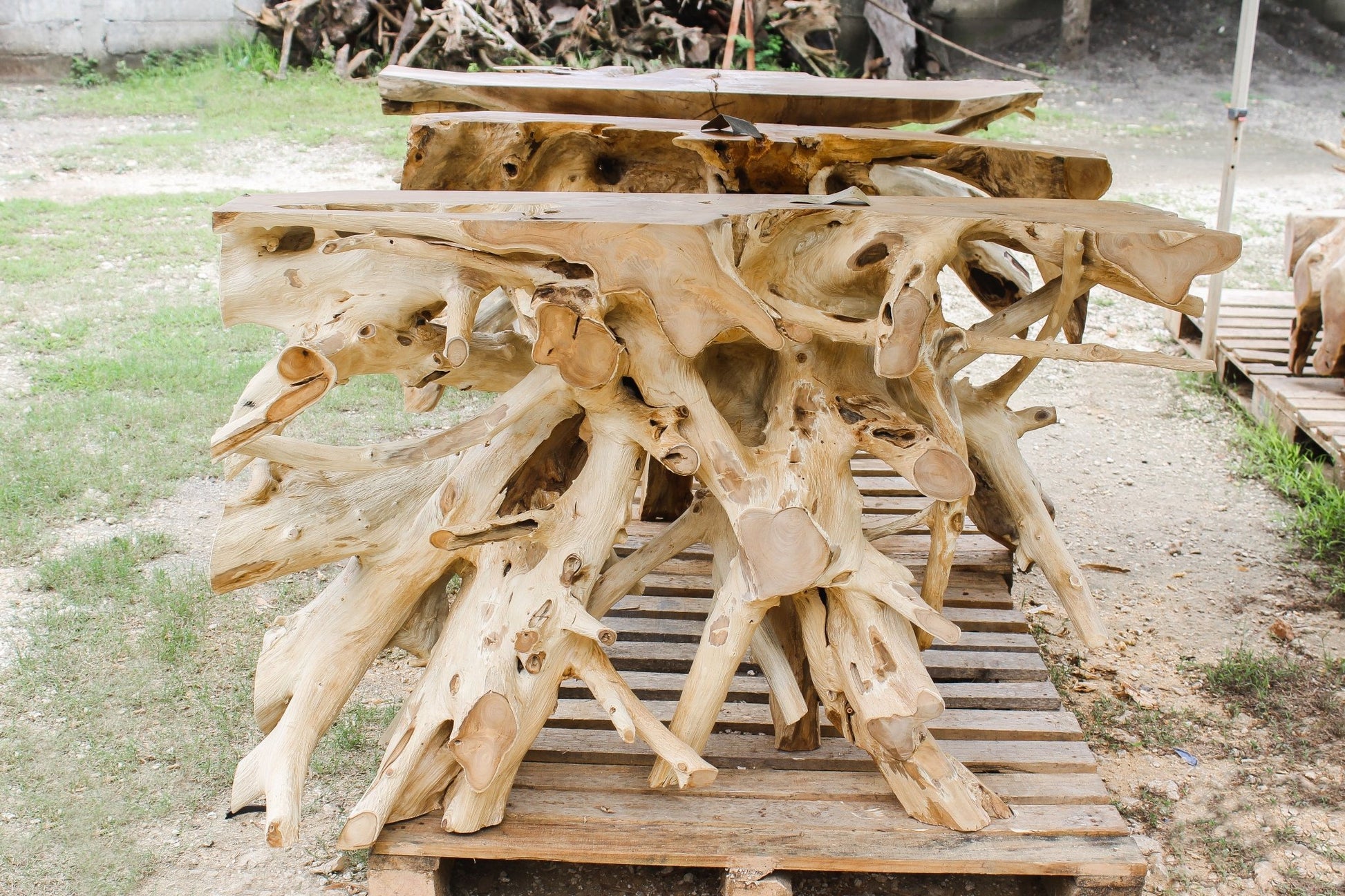 Bleach Finished Small Teak Root Console Table - Bleached Entryway Table - Hallway Table For Apartment - Organic Console Table - SOGEH Furniture