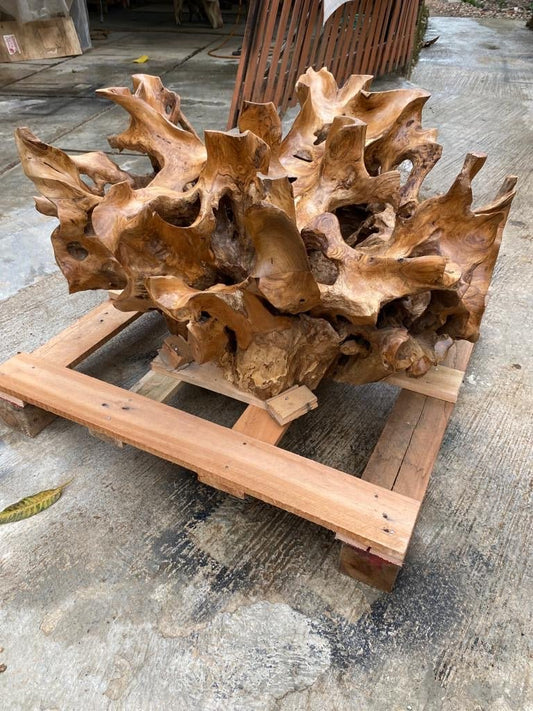 Conversation starter teak root coffee table - One-of-a-kind teak coffee table - Natural edge teak furniture - Live edge teak furniture - Waterfall teak furniture - SOGEH Furniture