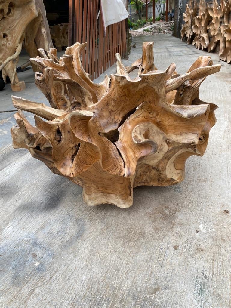 Driftwood teak root coffee table - Cluster teak root coffee table - Slab teak root coffee table - Tempered glass top coffee table - Beveled glass top coffee table - SOGEH Furniture