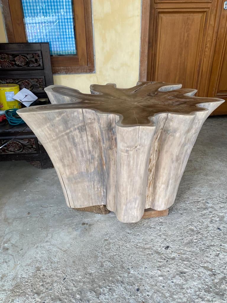 Driftwood Teak Root Coffee Table - Natural Edge Teak Root Coffee Table - Slab Coffee Table - Cocktail Table - SOGEH Furniture