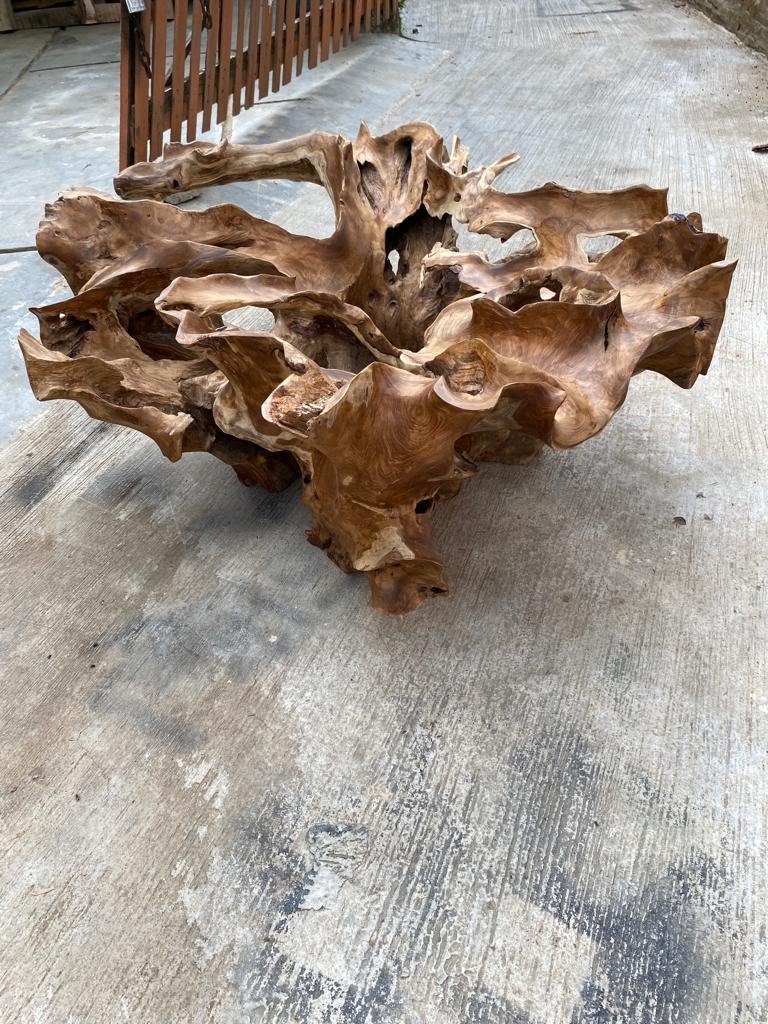 Exotic Wood Coffee Table - Tropical Teak Root Coffee Table - Statement Piece Coffee Table - Heirloom Quality Coffee Table - Teak Root Table - SOGEH Furniture