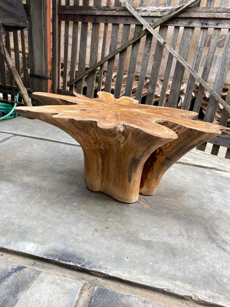 Farmhouse Teak Root Coffee Table - Industrial Chic Teak Root Coffee Table - Wabi Sabi Teak Root Coffee Table - Natural Edge Teak Root Coffee Table - Live Edge Teak Root Coffee Table - SOGEH Furniture