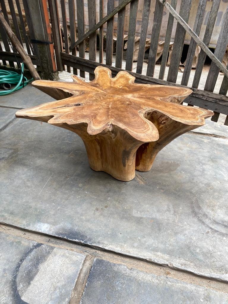 Farmhouse Teak Root Coffee Table - Industrial Chic Teak Root Coffee Table - Wabi Sabi Teak Root Coffee Table - Natural Edge Teak Root Coffee Table - Live Edge Teak Root Coffee Table - SOGEH Furniture