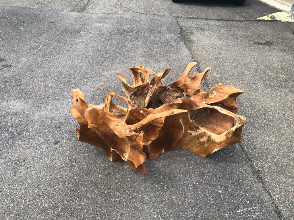 Floral Teak Root Coffee Table - Wooden Coffee Table, Handmade Wooden Furniture - SOGEH Furniture