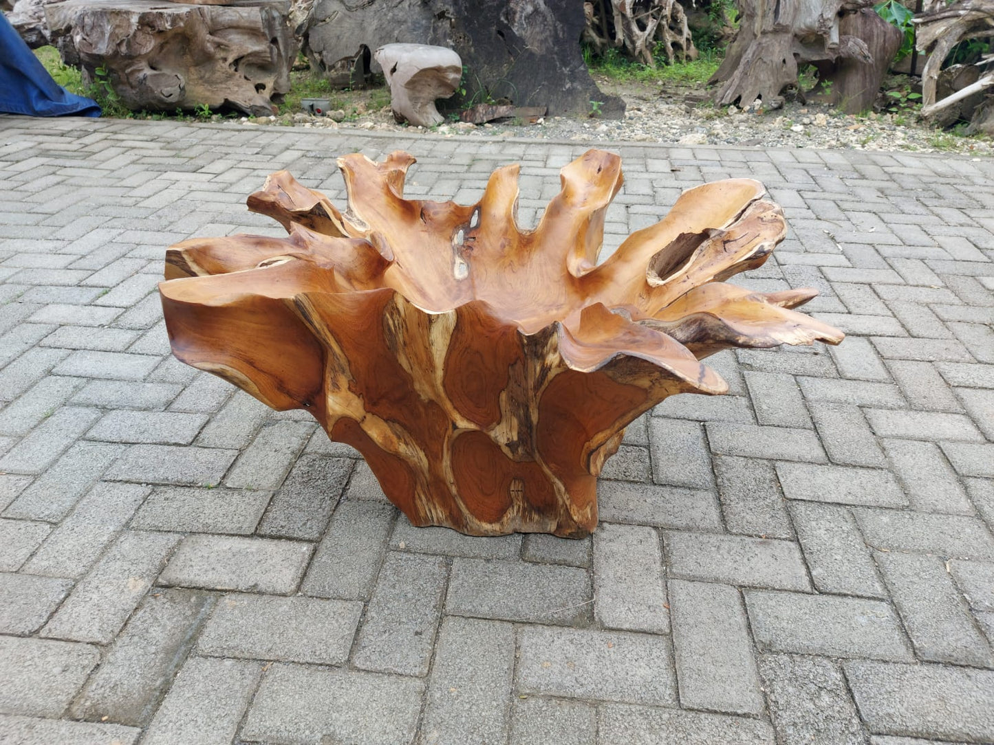 Floral teak root table - Natural teak root - Centerpiece coffee table - Unforgettable coffee table - Heirloom coffee table - SOGEH Furniture