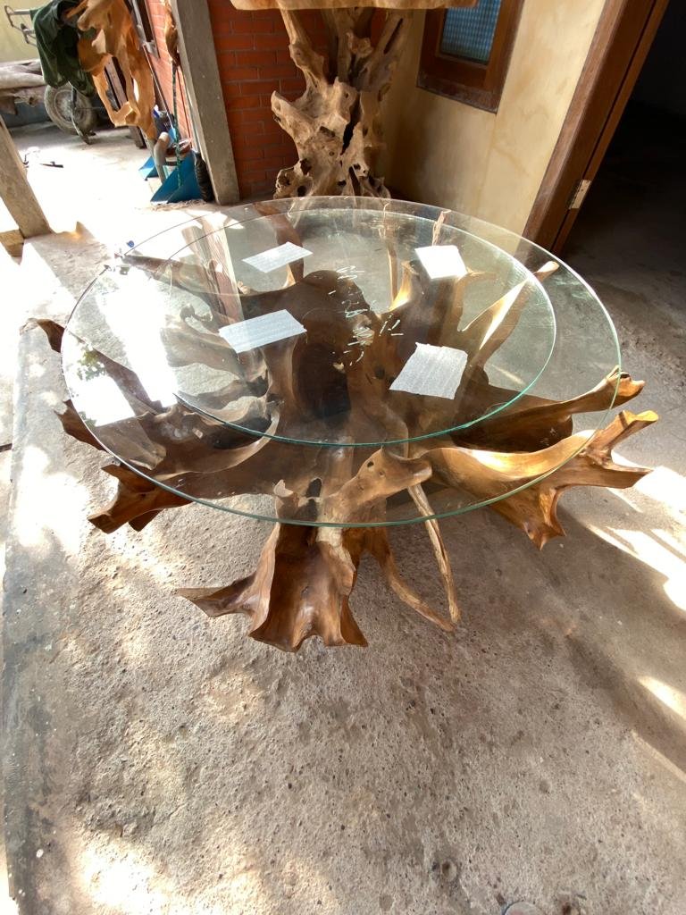 Glass top teak coffee table - Round teak root coffee table - Oval teak root coffee table - Modern organic coffee table - SOGEH Furniture