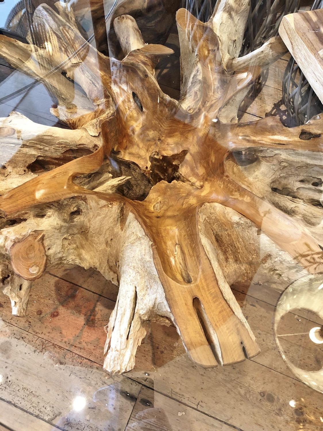 Glass top teak root coffee table - Teak root coffee table with storage - Large teak root coffee table - Live edge teak furniture - Natural teak furniture - SOGEH Furniture