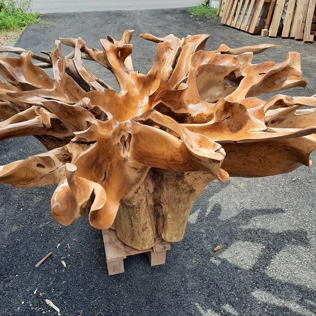 Golden brown teak coffee table - Warm brown teak coffee table - Floral teak root coffee table - Teak root coffee table with floral pattern - SOGEH Furniture