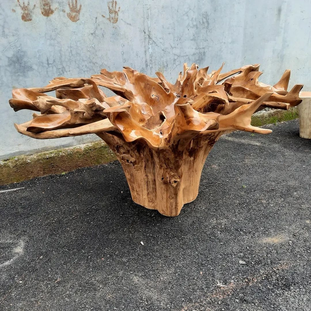 Golden brown teak coffee table - Warm brown teak coffee table - Floral teak root coffee table - Teak root coffee table with floral pattern - SOGEH Furniture