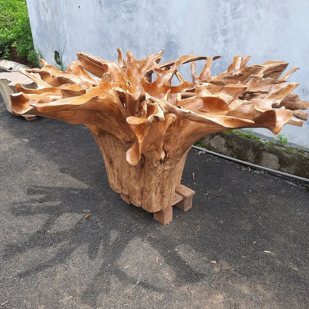 Golden brown teak coffee table - Warm brown teak coffee table - Floral teak root coffee table - Teak root coffee table with floral pattern - SOGEH Furniture