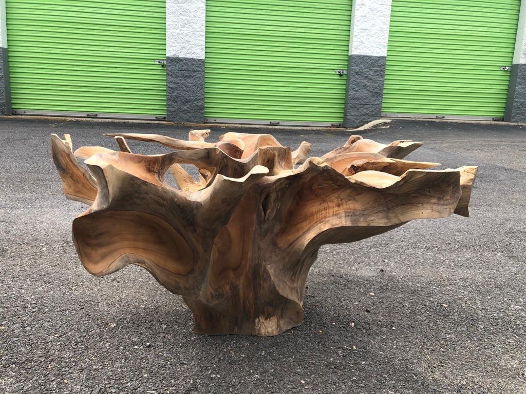 Golden Brown Teak Slab Coffee Table - Round Teak Root Coffee Table - Javanese Teak Root Coffee Table - Sustainable Teak Root Coffee Table - SOGEH Furniture