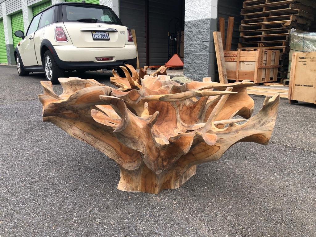 Golden Brown Teak Slab Coffee Table - Round Teak Root Coffee Table - Javanese Teak Root Coffee Table - Sustainable Teak Root Coffee Table - SOGEH Furniture