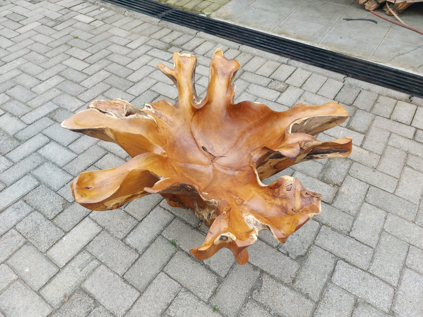 Golden Glossy Floral Teak Root Coffee Table - Vintage Teak Root Coffee Table - Natural Teak Root Table - High Quality Teak Root Furniture - SOGEH Furniture