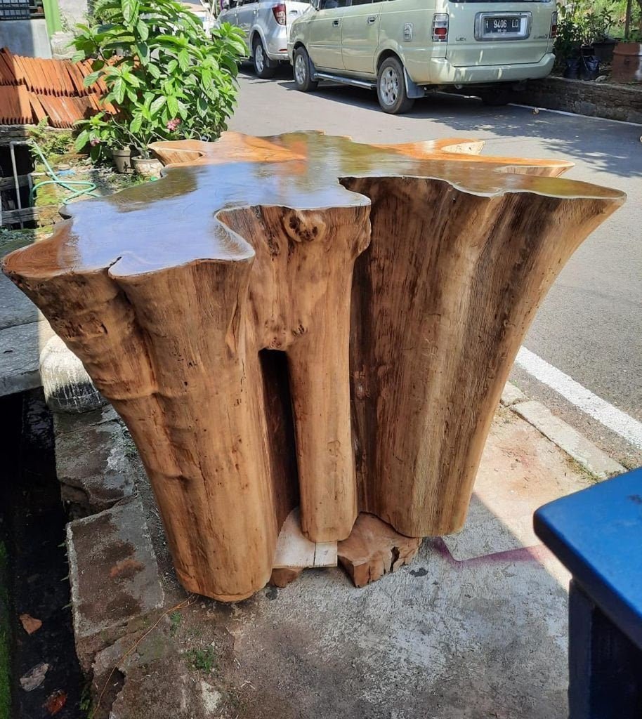 Golden teak root center table - Teak wood coffee table with golden finish - Epoxy finish teak root coffee table - Teak root slab coffee table - SOGEH Furniture