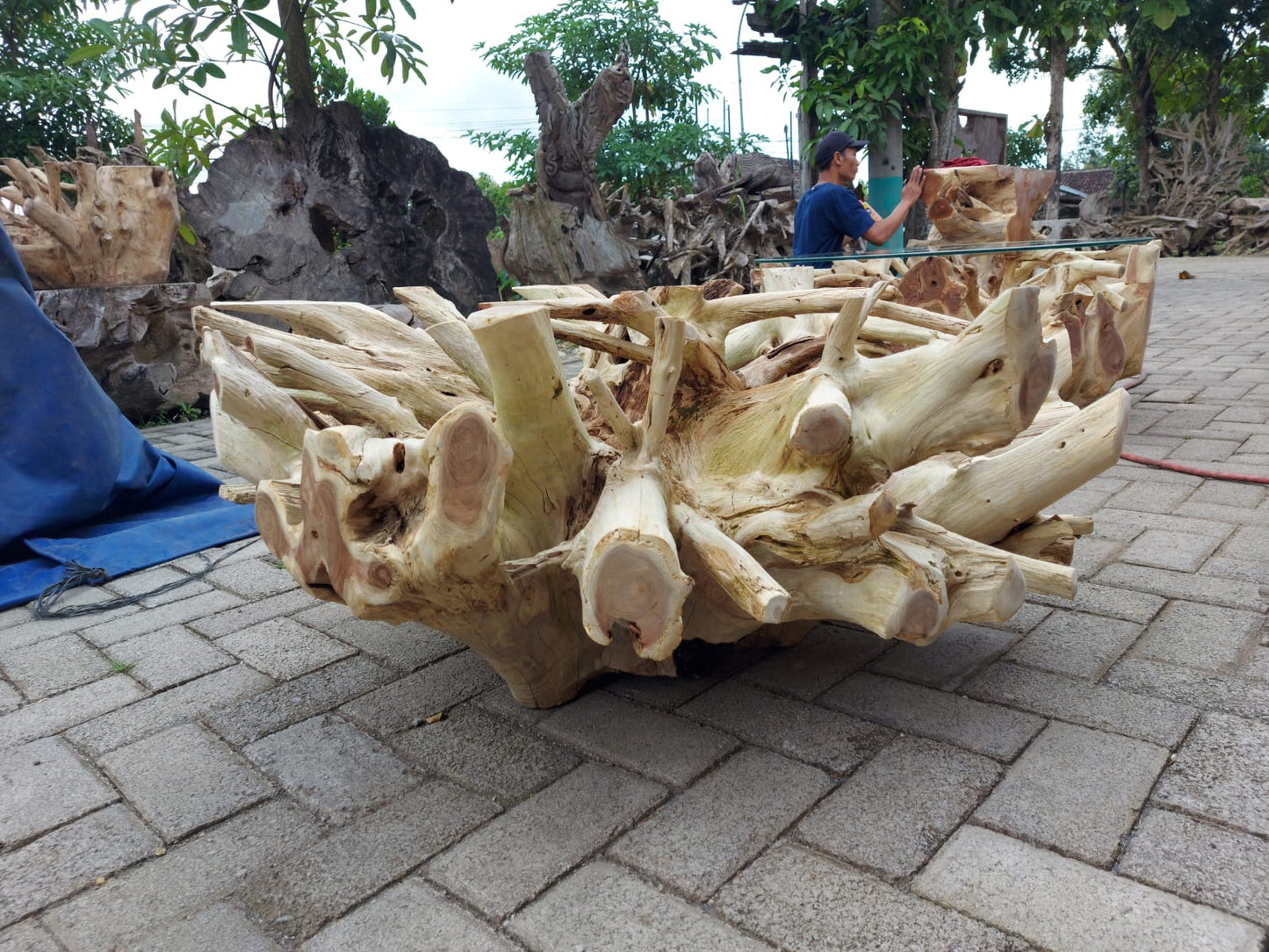 Hand-carved teak root table - Bleached teak root coffee table - Square teak root table - Unique furniture - Rustic furniture - Natural edge table - SOGEH Furniture