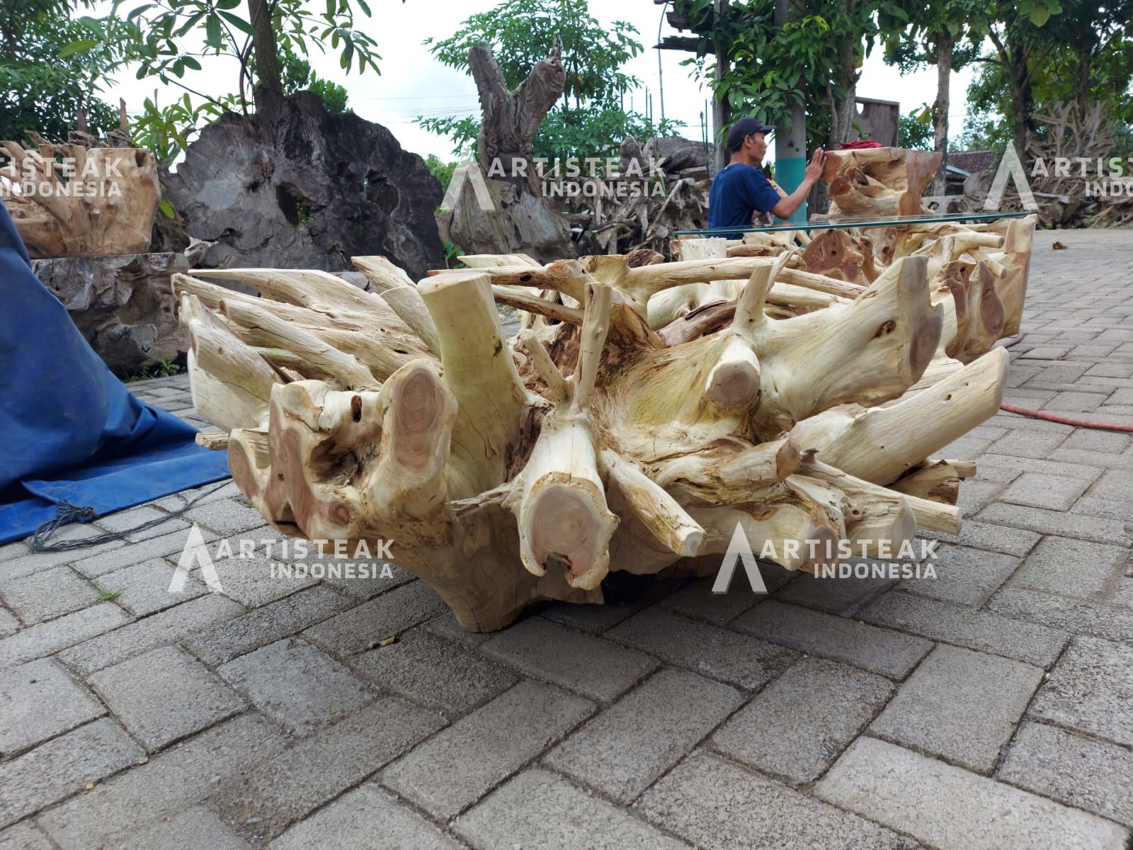 Hand carved teak root table - Bleached teak root coffee table - White teak root side table - Natural edge teak root table - SOGEH Furniture