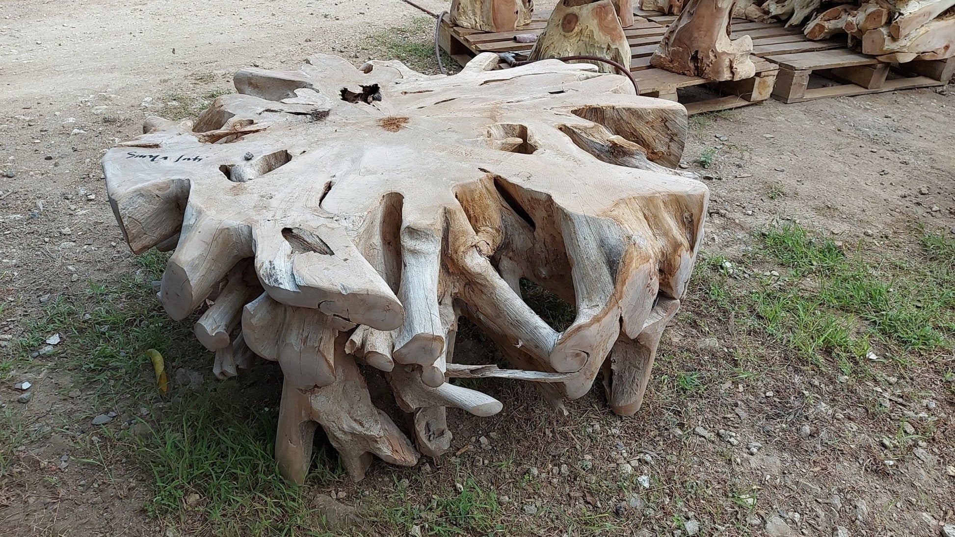 Handcrafted teak root coffee table for living room - Sustainable teak root coffee table for sale Organic teak furniture - Modern teak furniture - Industrial teak furniture - SOGEH Furniture