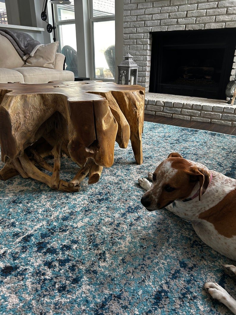 Handmade teak root coffee table - Handcrafted teak root coffee table - Ethically sourced teak root coffee table - Indoor teak root coffee table - SOGEH Furniture