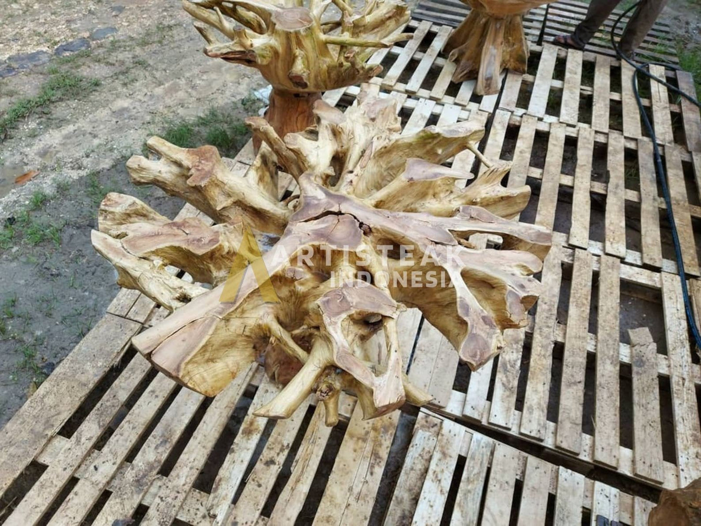 Honey Teak Root Coffee Table - Burmese Teak Root Coffee Table - Plantation Teak Root Coffee Table - Geometric Coffee Table - Natural Star Coffee Table - SOGEH Furniture