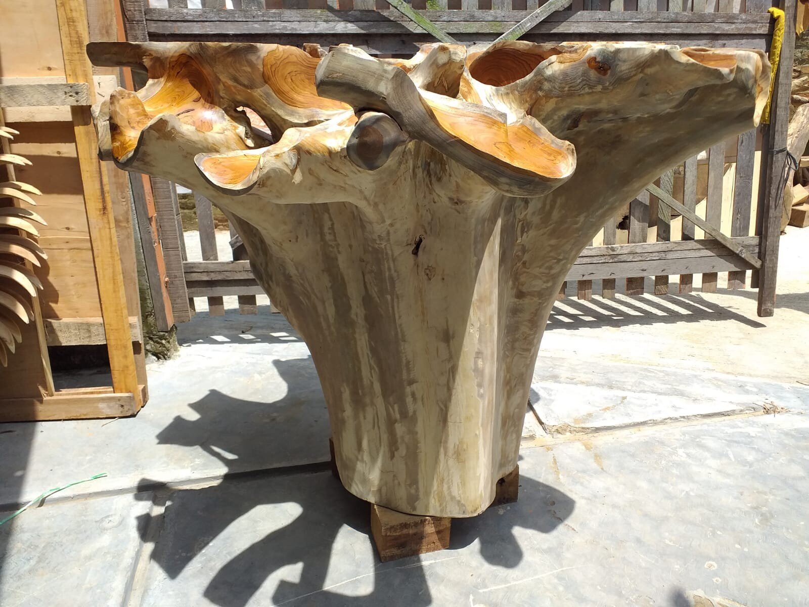 Indonesian natural teak root coffee table for sale - Solid teak root coffee table with storage - Natural teak root coffee table with glass top - Medium natural teak root coffee table - SOGEH Furniture