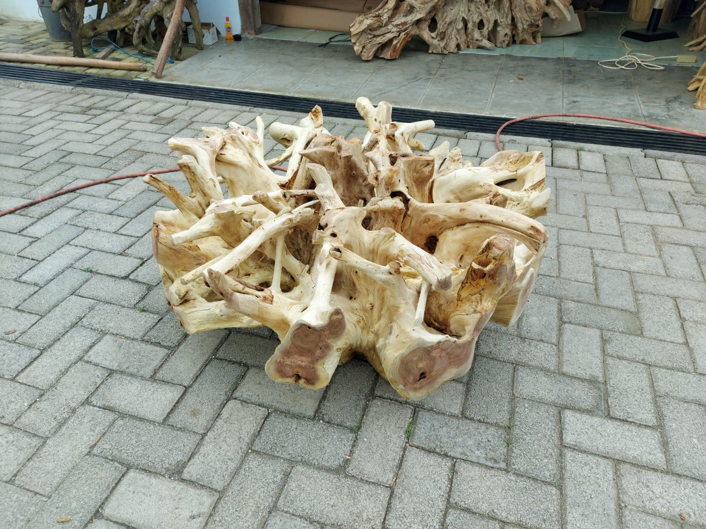 Java Bleached Teak Root Coffee Table - Round Teak Root Coffee Table Top - Teak Root Round Coffee Table High Quality - SOGEH Furniture