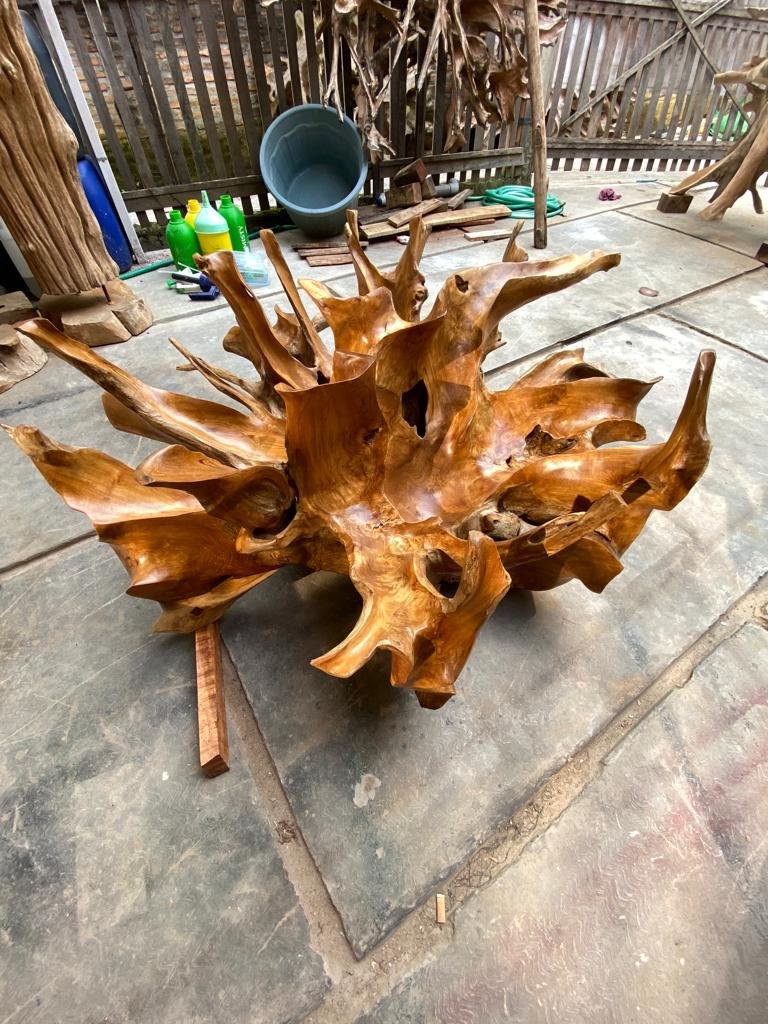 Large teak root coffee table for entertaining - Sustainable teak furniture for ethical consumers - Invest in heirloom quality teak furniture - SOGEH Furniture