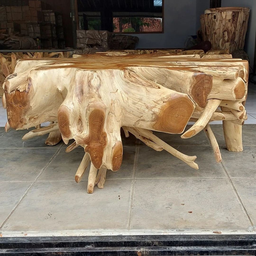 Large Teak Root Coffee Table - Teak Wood End Table - Teak Side Table - Teak Plant Stand - Teak Root Furniture - SOGEH Furniture