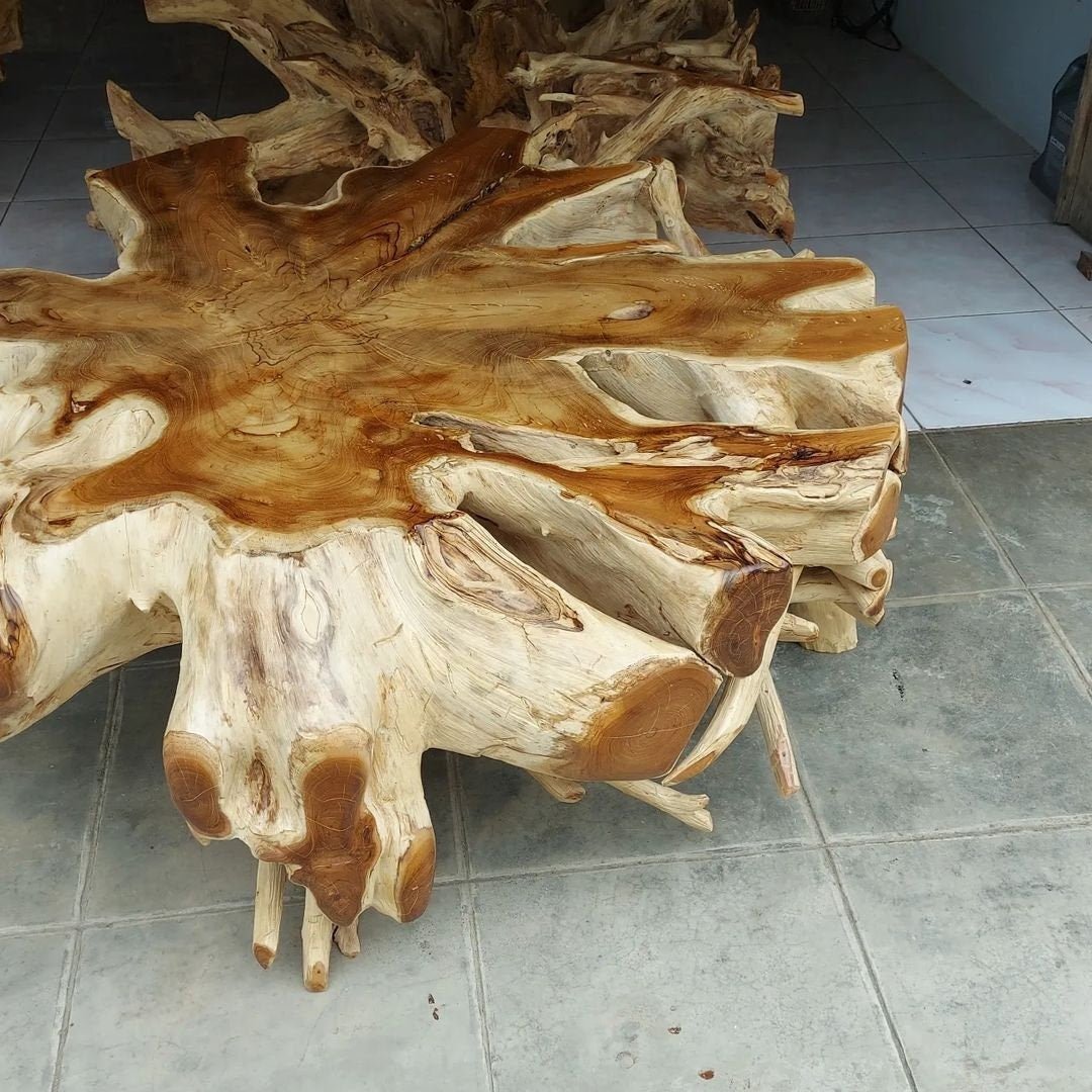 Large Teak Root Coffee Table - Teak Wood End Table - Teak Side Table - Teak Plant Stand - Teak Root Furniture - SOGEH Furniture