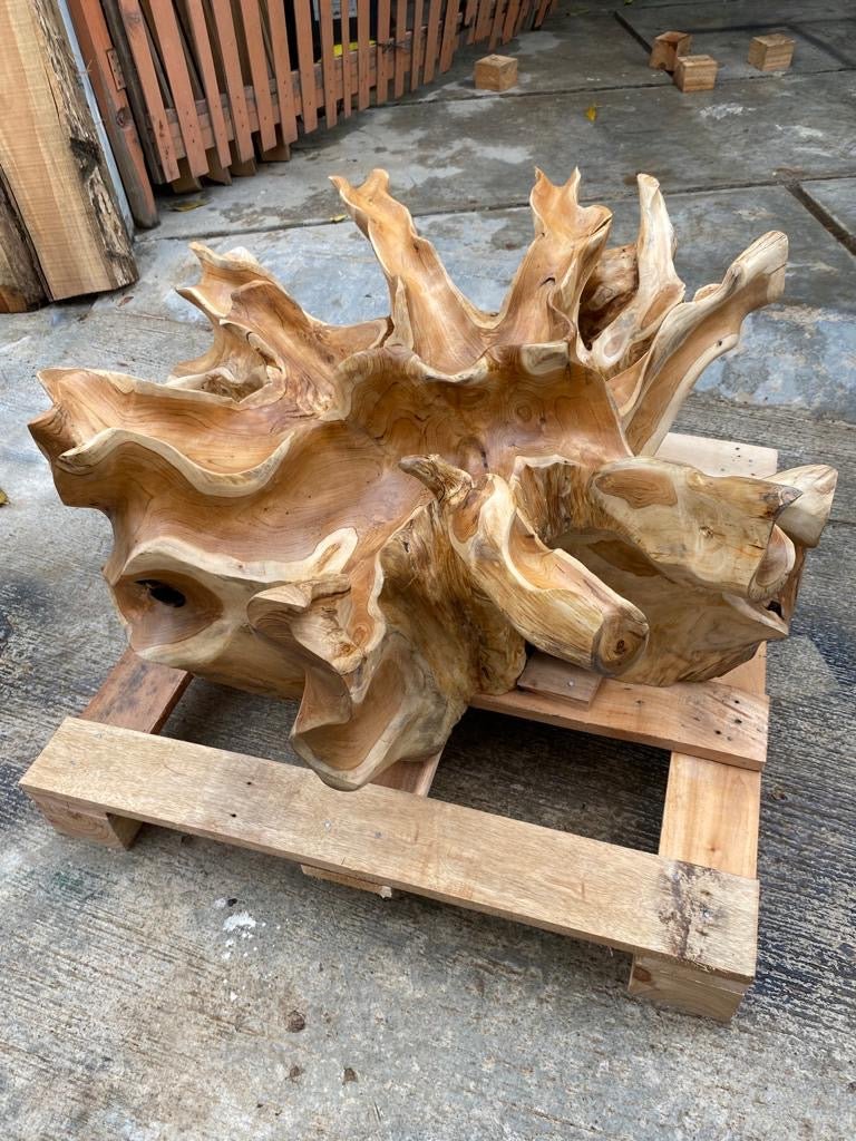 Light Finish Teak Root Coffee Table - Distressed Teak Root Coffee Table - Rustic Chic Teak Root Coffee Table - Industrial Teak Root Coffee Table - SOGEH Furniture