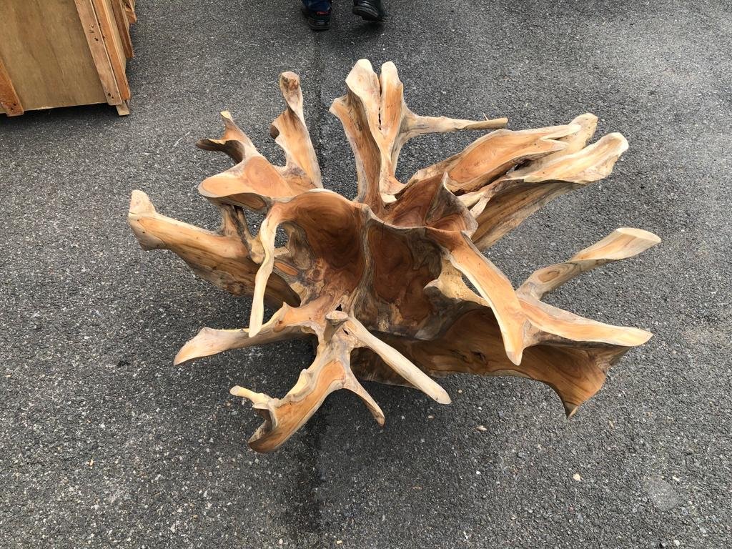 Medium Teak Root Coffee Table - Teak Wood Table Furniture - High Quality Teak Table - Round Teak Root Table - SOGEH Furniture