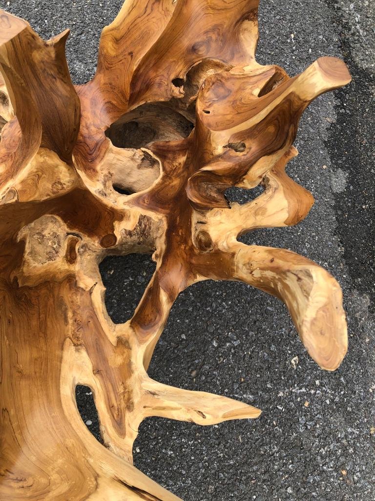 Medium Teak Root Coffee Table - Teak Wood Table Furniture - High Quality Teak Table - Round Teak Root Table - SOGEH Furniture