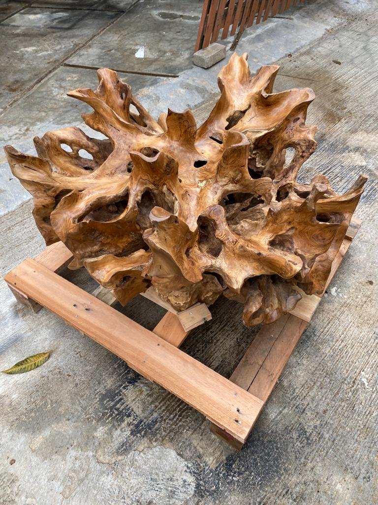 Modern live edge teak root coffee table - Teak root coffee table for small living room - Teak root furniture handcrafted in Indonesia - SOGEH Furniture