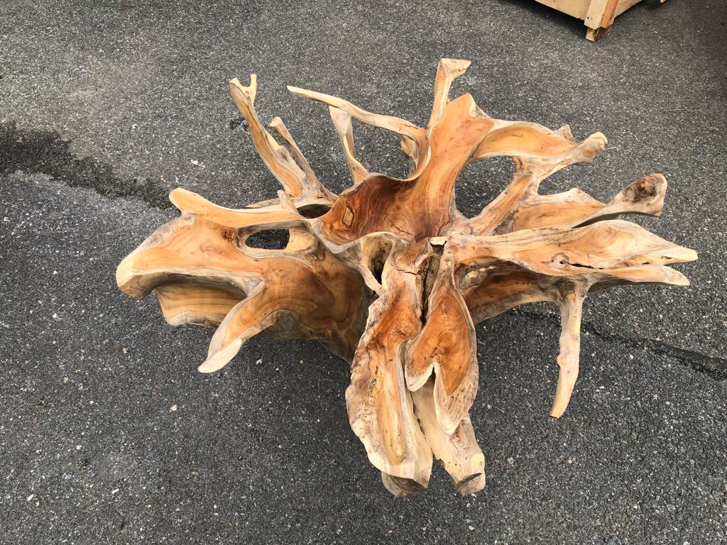 Natural Finishing Teak Root Coffee Table - Pure Teak Root Round Coffee Table - Teak Root Wood Table - Teak Root Round Coffee Table - SOGEH Furniture