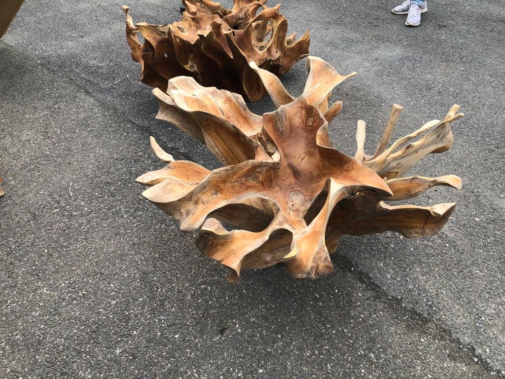 Natural Finishing Teak Root Coffee Table - Pure Teak Root Round Coffee Table - Teak Root Wood Table - Teak Root Round Coffee Table - SOGEH Furniture