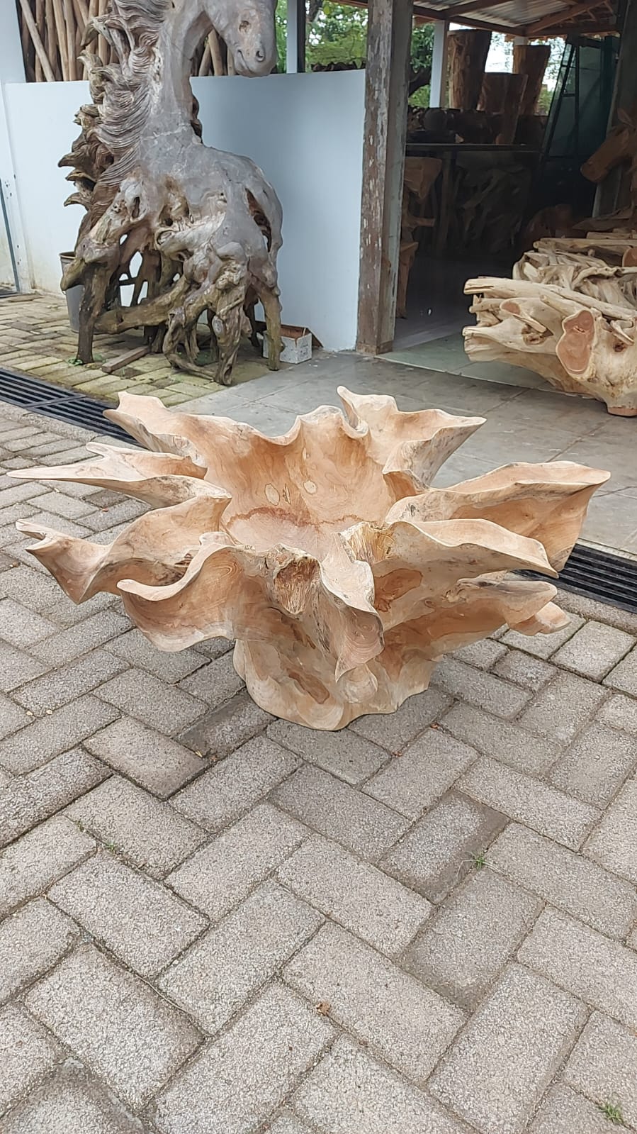 Natural Teak Root Slab Coffee Table - Indonesian Teak Root Coffee Table - Teak Root Table with Glass Top - Wooden Coffee Table Top - Glass Coffee Table Top - SOGEH Furniture