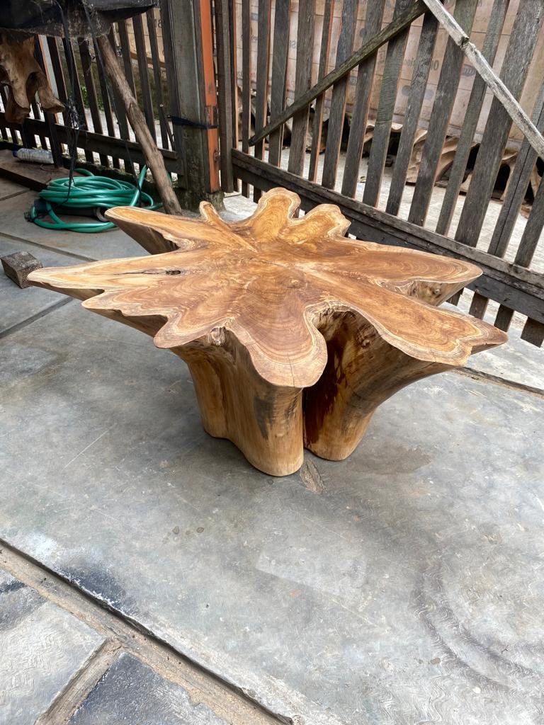 Organic Star Teak Root Coffee Table Base - Teak Root Coffee Table Bohemian - Natural Teak Root Coffee Table - SOGEH Furniture