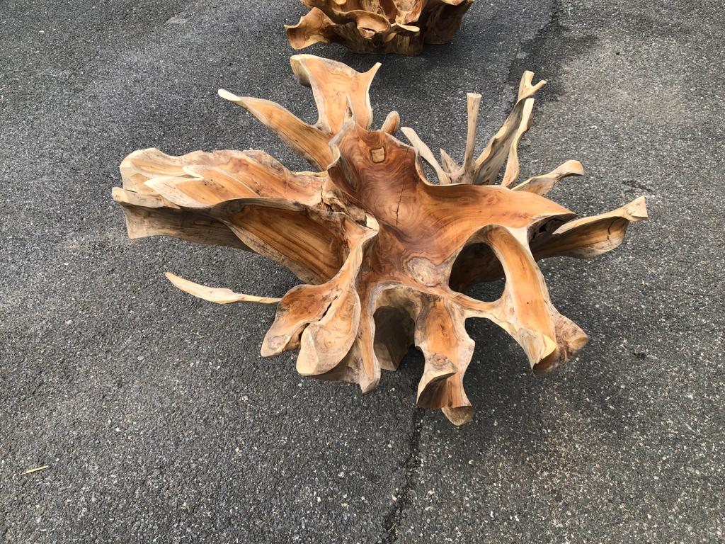 Organic Teak Root Coffee Table - Modern Coffee Table - Mid Century Modern Coffee Table - Industrial Coffee Table - Bohemian Coffee Table - SOGEH Furniture