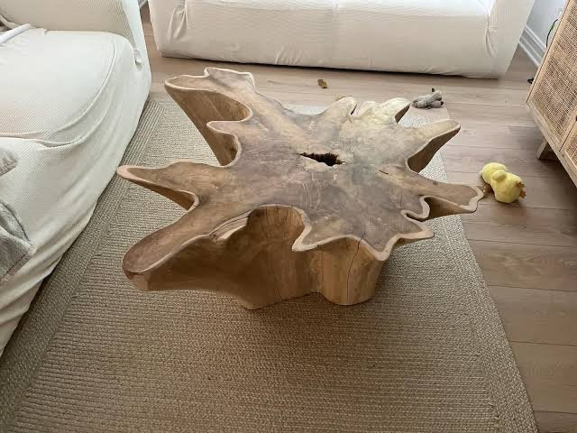 Oval teak root coffee table - Round coffee table - Coffee table with storage - Industrial coffee table - SOGEH Furniture