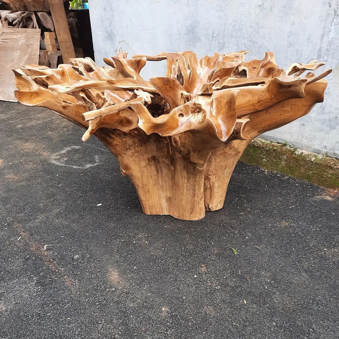 Polished teak root finish - Clear coat teak root finish - Waxed teak root finish - Indonesian teak root furniture - Javanese teak root furniture - SOGEH Furniture