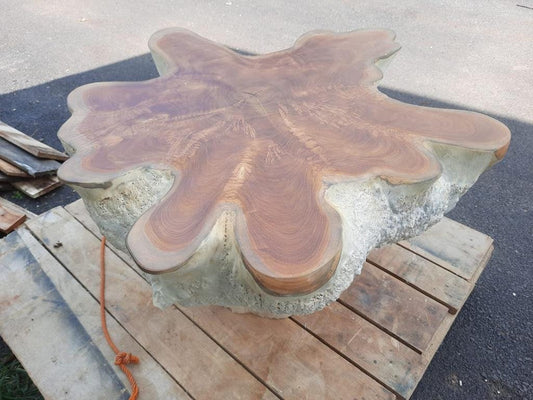 River Teak Root Coffee Table - Driftwood Teak Root Coffee Table -Round Teak Root Coffee Table - Custom Teak Root Coffee Table - SOGEH Furniture