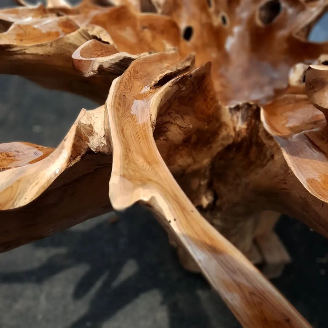 Rustic teak root coffee table - Organic coffee table - Nature lover gift - Eco-conscious furniture - Sustainable home decor - SOGEH Furniture