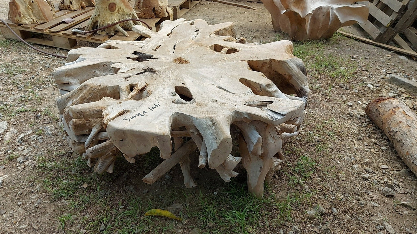 Square Teak Root Coffee Table - Large Teak Root Coffee Table - Golden Teak Root Coffee Table - SOGEH Furniture