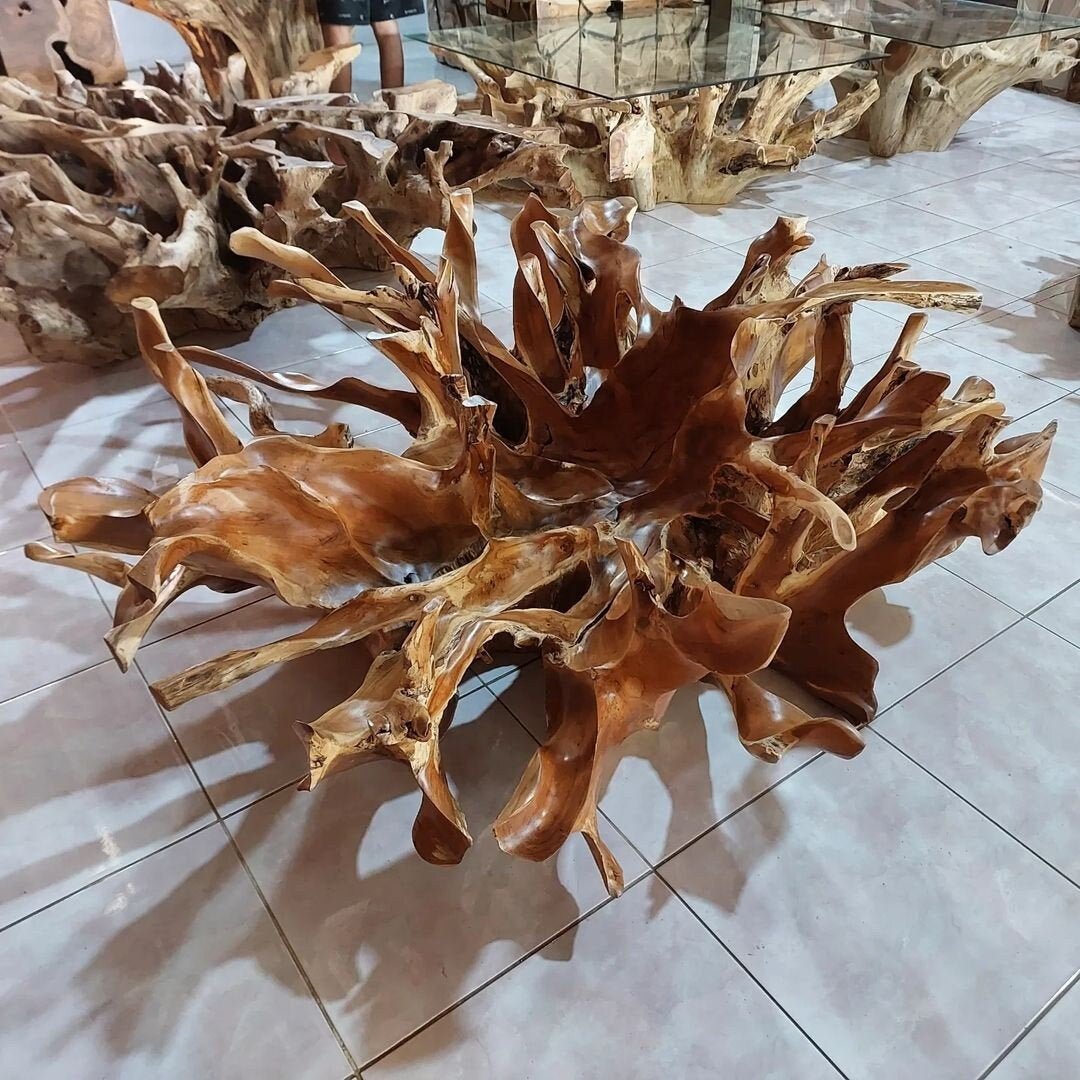 Teak Root Coffee Table - Teak Wood Table - Teak Driftwood Table - Teak Plant Stand - Organic Teak Furniture - SOGEH Furniture