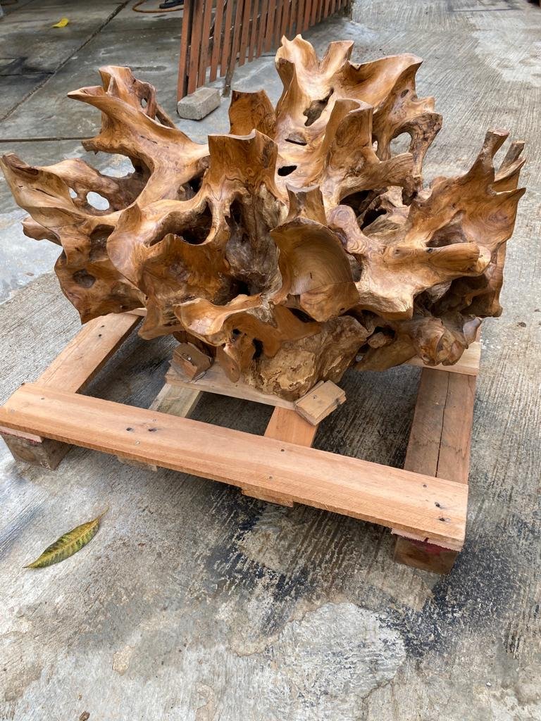 Teak Root Coffee Table with Storage - Golden Brown Teak Slab Coffee Table - Round Teak Root Coffee Table Teak Root - Coffee Table with Glass Top - SOGEH Furniture