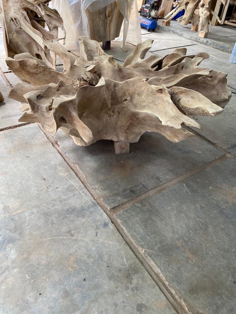 Unique teak root coffee table - Handmade teak coffee table - Eco-friendly teak coffee table - Sustainable teak coffee table - SOGEH Furniture