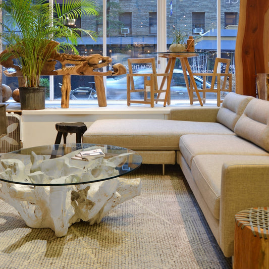 White teak root coffee table for modern living room - White teak root coffee table for small space - White teak root coffee table with unique character - SOGEH Furniture